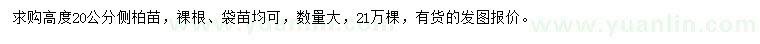 求購(gòu)高20公分側(cè)柏