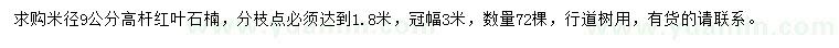 求購米徑9公分高桿紅葉石楠