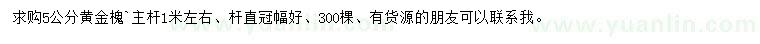求購5公分黃金槐