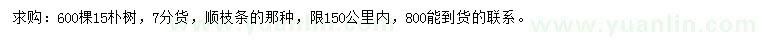 求購15公分樸樹