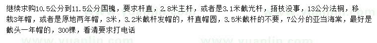 求購國槐、法桐、亞當(dāng)海棠