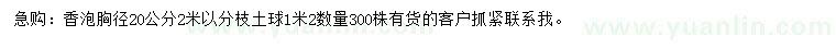 求購胸徑20公分香泡