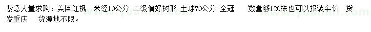 求購米徑10公分美國紅楓