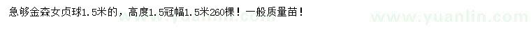 求購1.5米金森女貞球