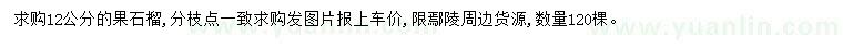 求購12公分果石榴