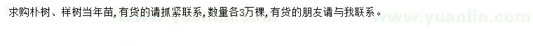 求購樸樹、櫸樹當年苗