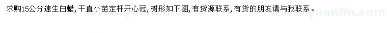 求購(gòu)15公分速生白蠟