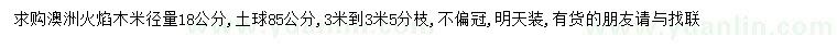 求購米徑18公分澳洲火焰木