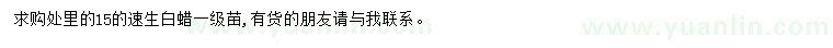 求購15公分速生白蠟