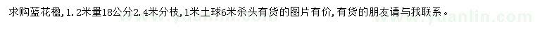 求購1.2米量18公分藍(lán)花楹