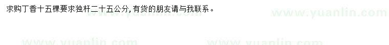求購25公分丁香