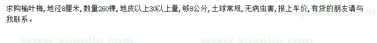 求購地徑8公分榆葉梅