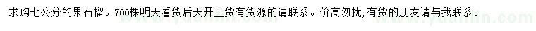 求購(gòu)7公分果石榴