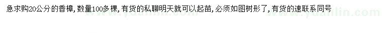 求購20公分香樟
