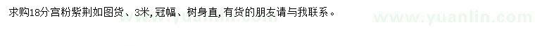 求購(gòu)18公分宮粉紫荊