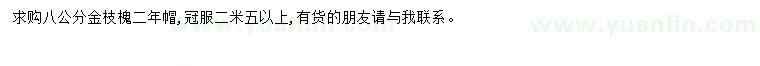 求購(gòu)8公分金枝槐