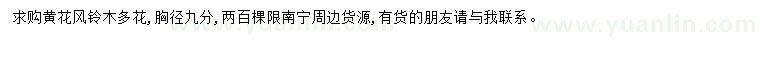 求購胸徑9公分黃花風(fēng)鈴木