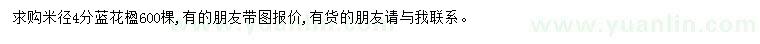 求購(gòu)米徑4公分藍(lán)花楹