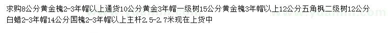 求購黃金槐、五角楓、國槐