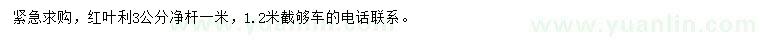 求購3公分紅葉李