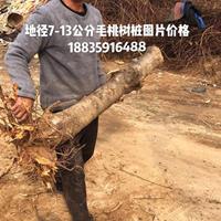 桃樹哪里比較多？桃樹哪些地區(qū)種植的比較多一些？