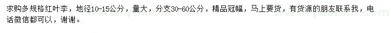 求購地徑10-15公分紅葉李
