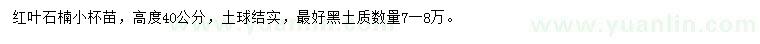 求購高度40公分紅葉石楠