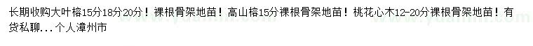 求購15、18、20公分大葉榕、15公分高山榕、12-20公分桃花心木