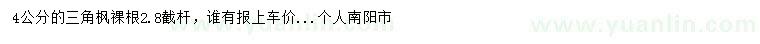 求購4公分三角楓
