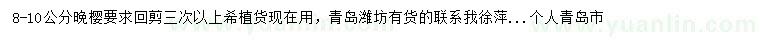 求購(gòu)8-10公分晚櫻
