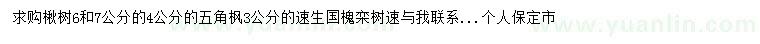 求購楸樹、五角楓、速生國槐等