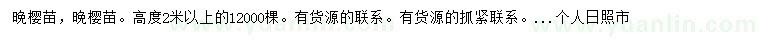 求購(gòu)高2米以上晚櫻苗