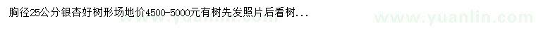 求購胸徑25公分銀杏