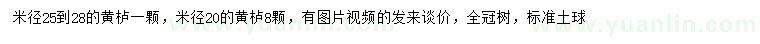 求購米徑20、25-28公分黃櫨