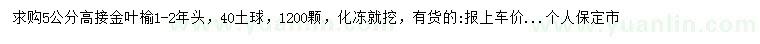 求購5公分高接金葉榆