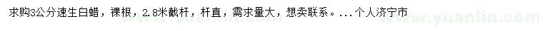 求購3公分速生白蠟