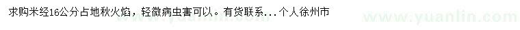 求購米徑16公分秋火焰