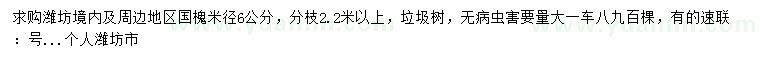 求購米徑6公分國槐