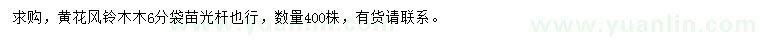 求購黃花風(fēng)鈴木