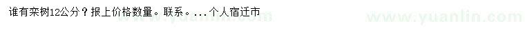 求購12公分欒樹