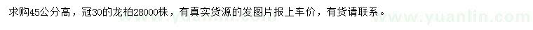 求購高45公分龍柏