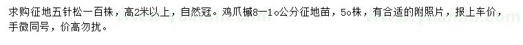 求購(gòu)高2米以上五針?biāo)伞?-10公分雞爪槭