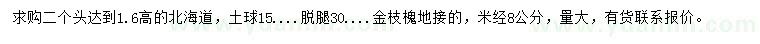 求購(gòu)高1.6米北海道黃楊