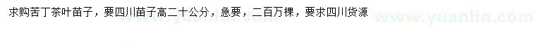 求購(gòu)高250公分苦丁茶
