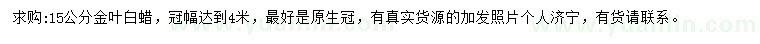 求購15公分金葉白蠟