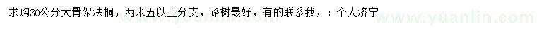 求購30公分法桐