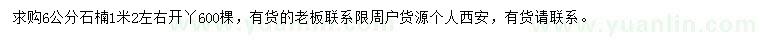 求購6公分石楠