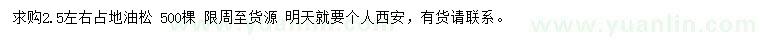 求購2.5公分左右占地油松