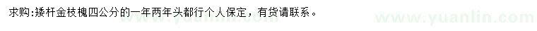 求購(gòu)4公分矮桿金枝槐