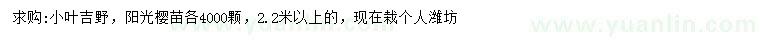 求購2.2米以上小葉吉野、陽光櫻